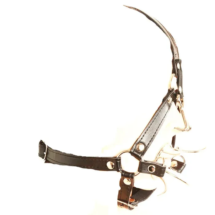 Female Sex Toys House of Dasein Gags Head Harness Spider Gag Open Mouth Nose Hook Bondage Bdsm Restraints
