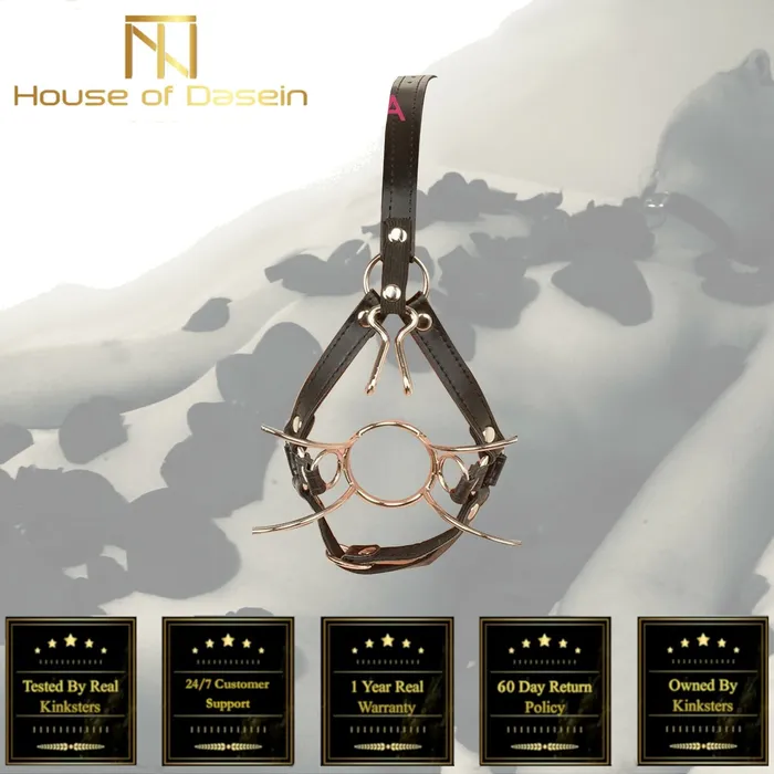 Female Sex Toys House of Dasein Gags Head Harness Spider Gag Open Mouth Nose Hook Bondage Bdsm Restraints